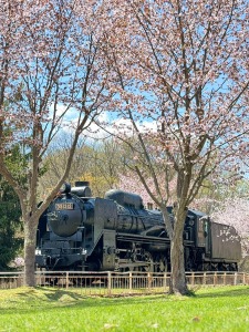 桜山公園の写真